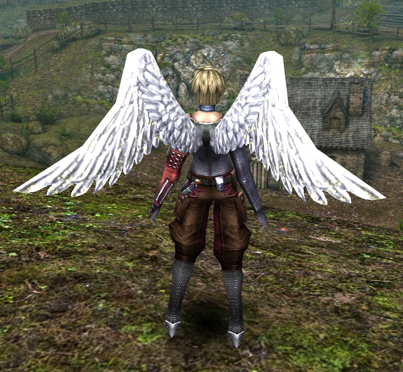 天使の翼（春）