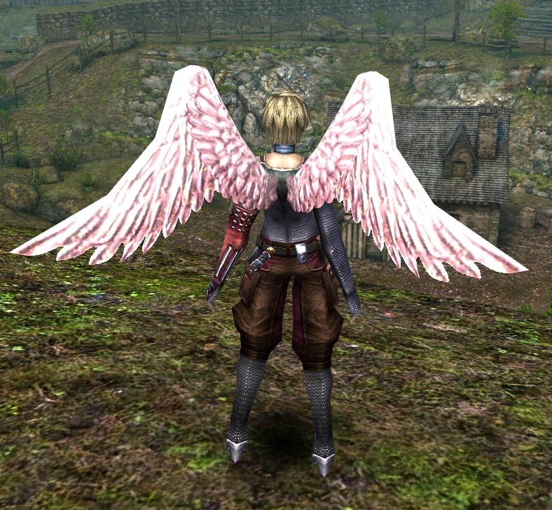 Angel Wings (B)